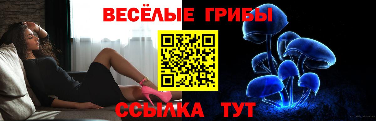 Галлюциногенные грибы Cubensis  Вход с VPN  Псилоцибиновые грибы мухоморы  Барнаул 
